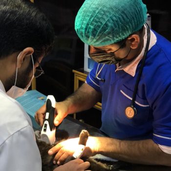 WhatsApp Image 2022-02-27 at 2.30.42 AM